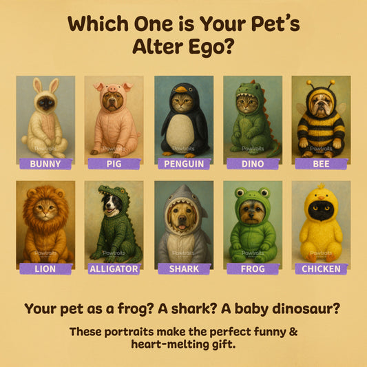 Pet in costume Collection