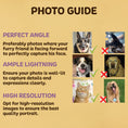 Load image into Gallery viewer, Pet in costume Collection
